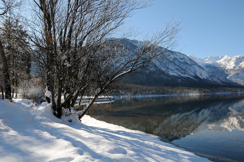 Apartment Dijak Bohinj Eksteriør bilde