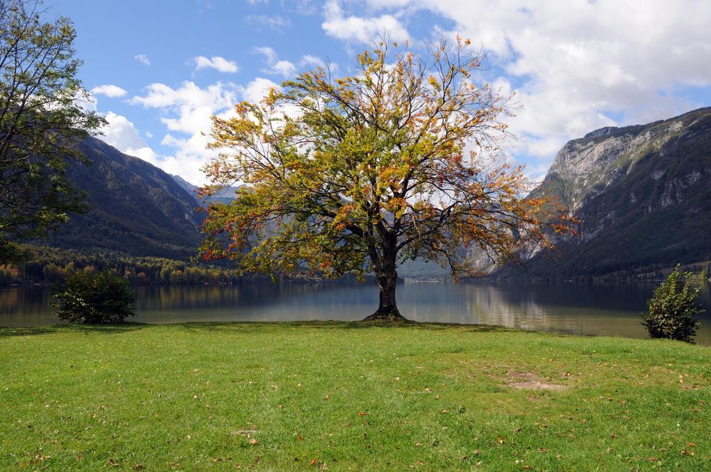 Apartment Dijak Bohinj Eksteriør bilde