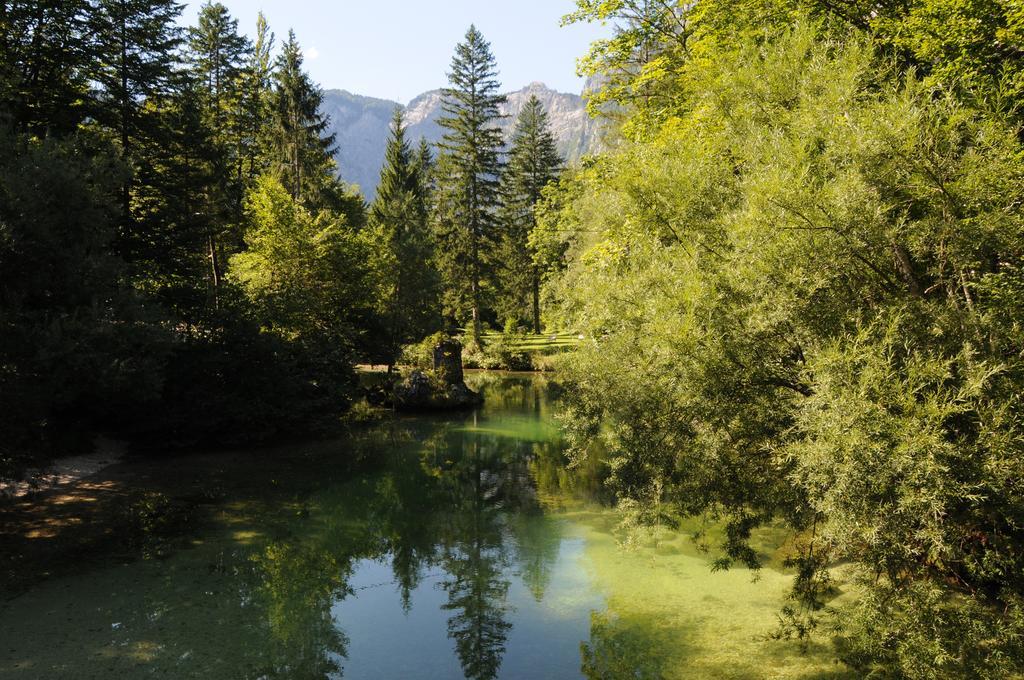 Apartment Dijak Bohinj Eksteriør bilde