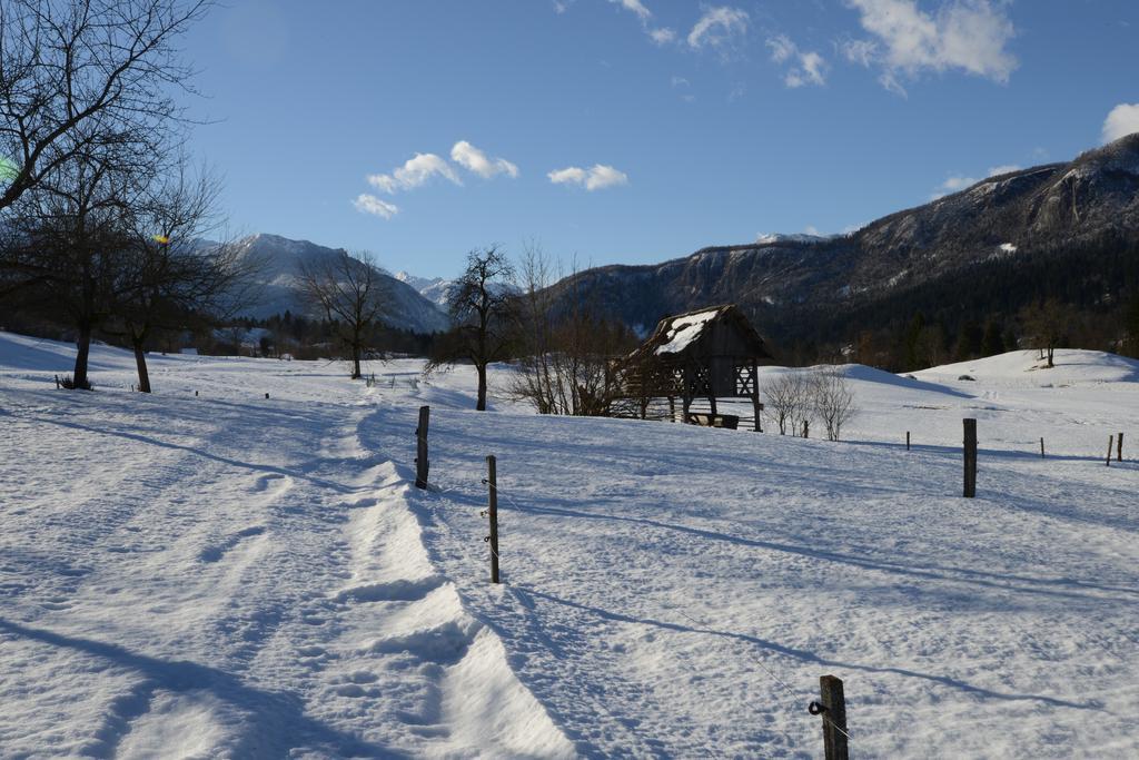 Apartment Dijak Bohinj Eksteriør bilde