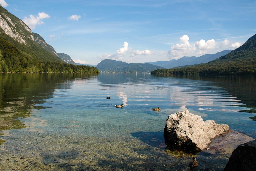 Apartment Dijak Bohinj Eksteriør bilde